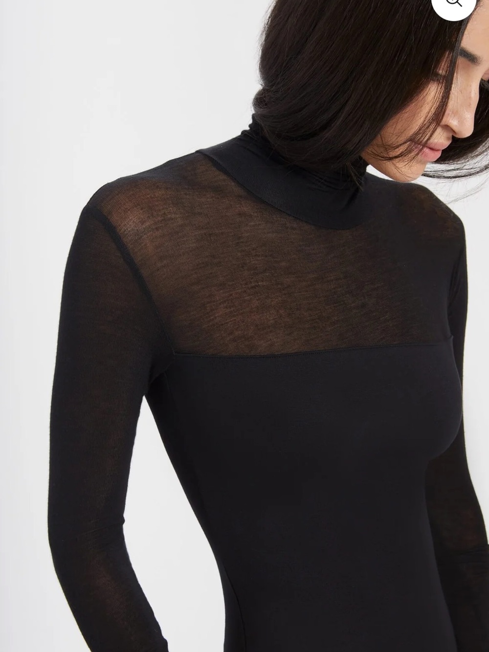 Marcella Cara Sheer Sleeves Turtleneck